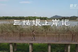 三姑娘上岸记视频封面