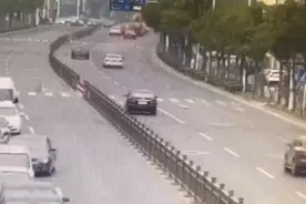 视频｜“泰迪”没栓绳被车压死，警方：主人负全责，如车辆受损还要“倒赔”图片