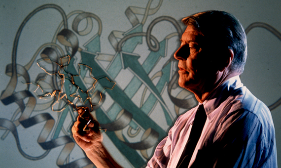 困扰科学家近半个世纪的蛋白质折叠难题破了！这回又是AI揭的秘——