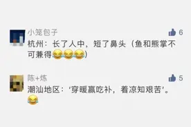 这条推送引起网友热议，一起来体会中非谚语大碰撞图片