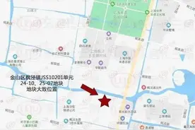 上海新年第一拍落锤金山，未来将打造大型购物中心图片