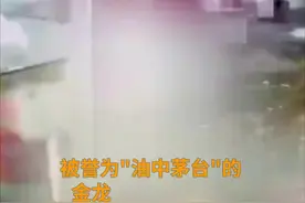 中国财富报道|7000亿“油茅”突然闪崩近20%！视频封面