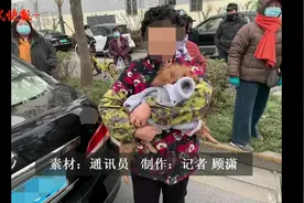 没拴绳小狗横穿马路被撞死，交警：狗主人承担全部责任图片