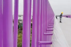 今年春节，来双流“网红桥”遥望飞机起落图片