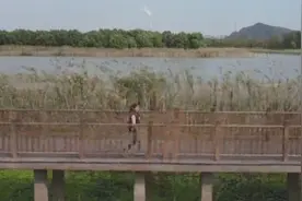 “三姑娘”上岸记：长江禁捕，告别水上漂视频封面
