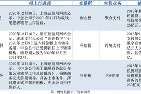 接连3家支付机构冲刺A股，业内称当下或是上市最好时机图片