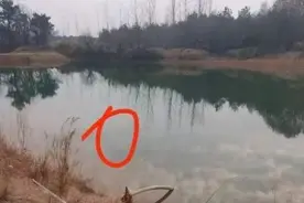 江东时评｜少女轻生暴露了应试教育的尴尬图片