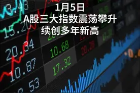 中国财富报道|“奶茅”“水茅”“猪茅”“车茅”大涨，股民笑称这是“年货行情”视频封面