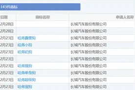 又是奇奇怪怪的命名！你的下一辆长城哈弗叫“单身狗”？图片