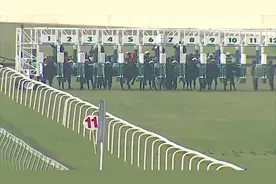 印度一名24岁骑师比赛时从马上跌落被踩踏致死图片