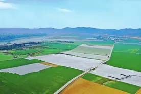 时隔20年 四川粮食产量再上700亿斤图片