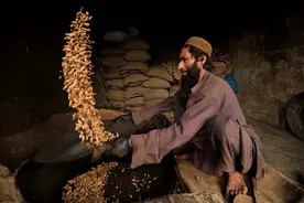 白沙瓦的干果市场图片