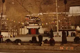 七一文学| 走遍西藏④我的家乡日喀则 |西藏老王专栏图片