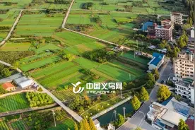 年产值近千万元！义乌这个村不少人都靠它买房子、车子！图片