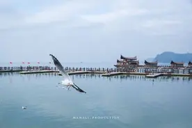 五天四晚游古滇，开启一站式暖冬之旅图片