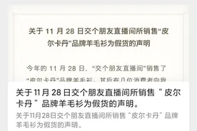 揭秘丨罗永浩直播间8个月卖出19亿，都是哪些人买的图片