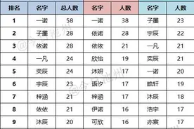 2020池州新生儿最热门名字排行出炉：58人叫“一诺”图片