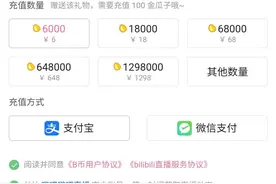 B站布局支付，bilibilipay域名备案，每年节约超千万图片