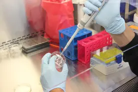今年首只医药新股！之江生物9个月营收抵过去7年，新冠检测试剂开启第二轮竞技图片