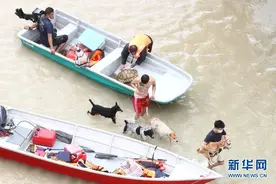 马来西亚强降雨引发水灾约3万人被疏散图片