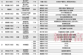 神秘接班人大盘点！广东36大地产家族二代，谁最低调，谁最能干……图片