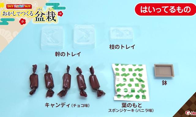 「是日美好事物」Tom Ford中性新香上市，日本糖果品牌用巧克力做“盆栽”