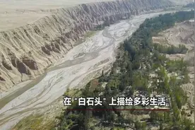 2021年01月07日 新华纵横 图片