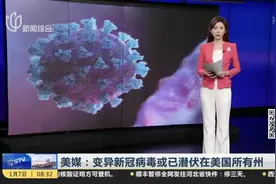 美媒：变异新冠病毒或已潜伏在美国所有州视频封面