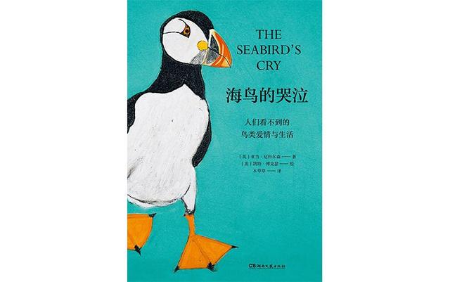 洛克王国高级渔夫（海鸟的哭泣当科学开始了解海鸟时）