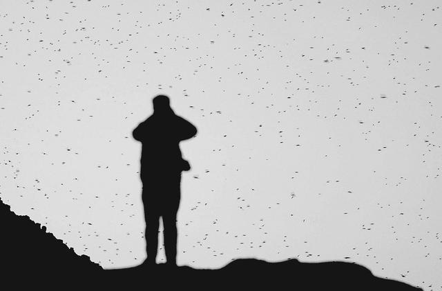 海鸟的哭泣：当科学开始了解海鸟时，它们正在不断死去