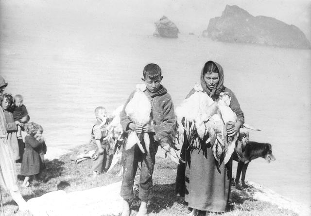 海鸟的哭泣：当科学开始了解海鸟时，它们正在不断死去