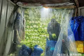 极寒夜七里堡菜市场守夜人：只要天上不下刀子，就得来图片