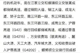 东西城市轴线吊梁工程施工 1月9日起成都绕城高速部分路段夜间封闭图片