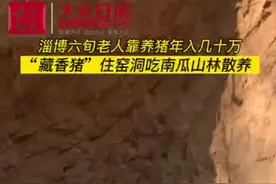 视频丨挖窑洞辟荒山 淄博这个农民靠养猪年入50万图片