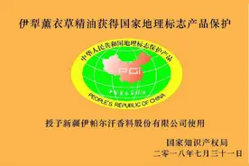 国妆新发展！福瑞达美业携手伊帕尔汗：为最好的时光赋香图片
