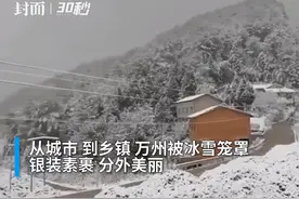 30秒 | 重庆万州：赏大雪纷飞美景 看银装素裹景致图片
