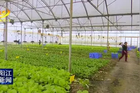 阳江新增10家省重点农业龙头企业图片