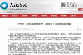 汉中2（副）局长被开除党籍，1人为“保护伞”图片