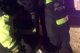 天寒地冻，一半挂车在青海失联！结局太心痛……图片