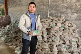 电商进村·惠民探索②|倒逼产业升级，电商让农业生产更贴近市场图片