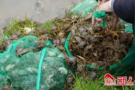 天水市水产绿色养殖实现新发展图片