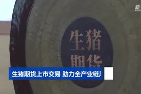 生猪期货上市交易 助力全产业链风险管控视频封面