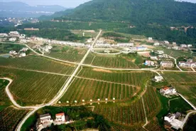 川观盘点｜2020年广元十大新闻图片