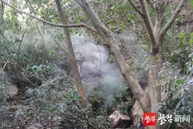 南京幕府山冬日里如仙境，腾腾热气成山中奇观图片