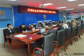 平果驮金路网项目铺就“乡村振兴”新路子图片