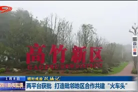 四川新闻联播丨两平台率先获批 打造毗邻地区合作共建“火车头”图片