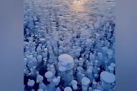 神奇！新疆赛里木湖现冰气泡视频封面