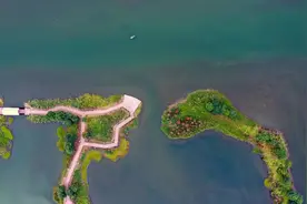 东莞这条14公里的水道藏不住了！直通大海，溜娃用游船图片