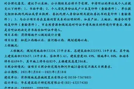 主楼高206米！菏泽双子塔项目最新规划公示图片