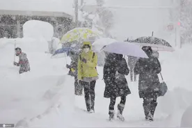 日本福井大雪纷飞图片
